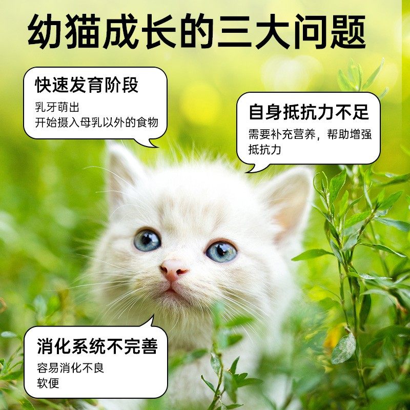 猫大力猫零食鱼油羊乳鸡丝拌饭补水汤包猫粮美毛护毛补水,淘宝优惠券,粉丝福利购,淘宝优惠卷