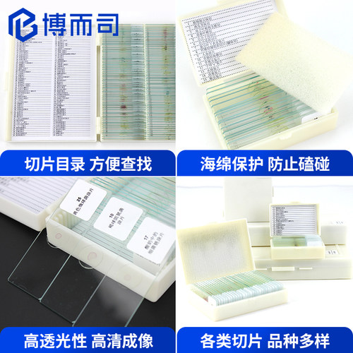 博而司显微镜生物标本切片观察配件动物植物细胞昆虫细菌微生物高清高透样本玻璃载玻片儿童学生教学套装实验 - 图1