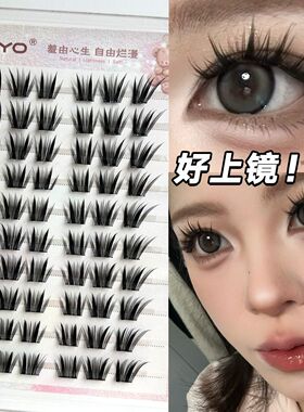 XOYO免胶蛇系小信子假睫毛薄片浓密仿真漫画芭比分段单簇眼睫毛