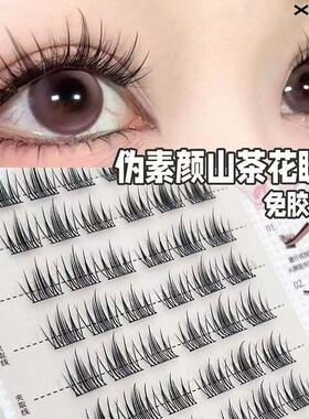 XOYO大容量甜妹山茶花免胶假睫毛自然单簇仿真分段眼睫毛新手
