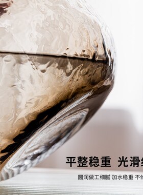 速发明瓶轻奢高级感客厅插花透花水养芍药玻璃花瓶餐桌摆件情绪稳