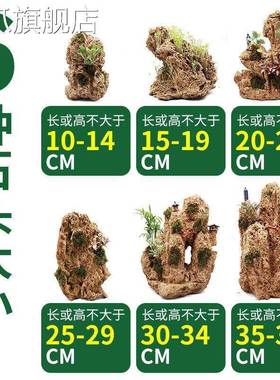 速发吸水石盆景上水石假山石奇石鱼缸造景家居装饰水秀石头奇石小
