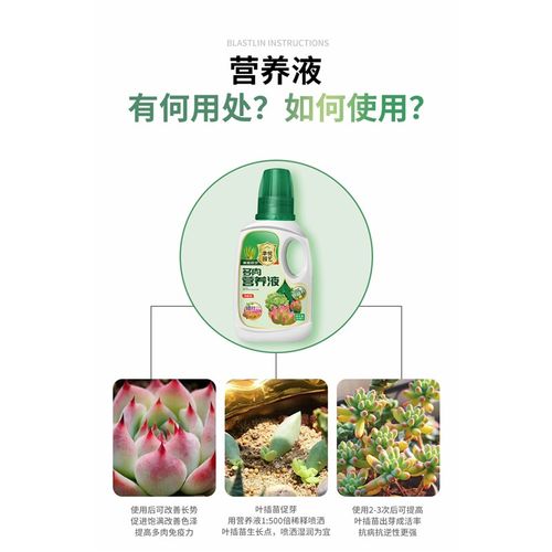速发色多肉营养液肥料植用肥营养素肉多多生根肉肉专物花肥增养肥 - 图2