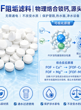 家用电热水器前置过滤器阻垢宝
