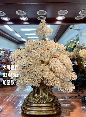 黄水晶厅发财树落22175035节地大号摆件加密客电柜视玄关乔迁开业