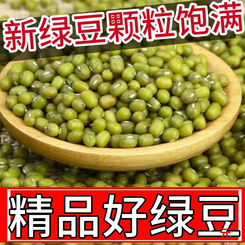 新货绿豆2500g五斤农家自产发豆芽专用绿豆汤煮粥五谷绿豆沙原料 - 图2