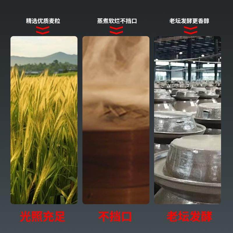 西部风麝香血麦野钓鲫鱼鲤鱼草鱼老坛发酵打窝料浓香挂钩颗粒鱼饵,淘宝优惠券,粉丝福利购,淘宝优惠卷