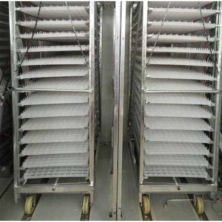 孵化机大型孵蛋箱蛋车器孵化箱全自动孵蛋器家用孵化出雏一体机,淘宝优惠券,粉丝福利购,淘宝优惠卷