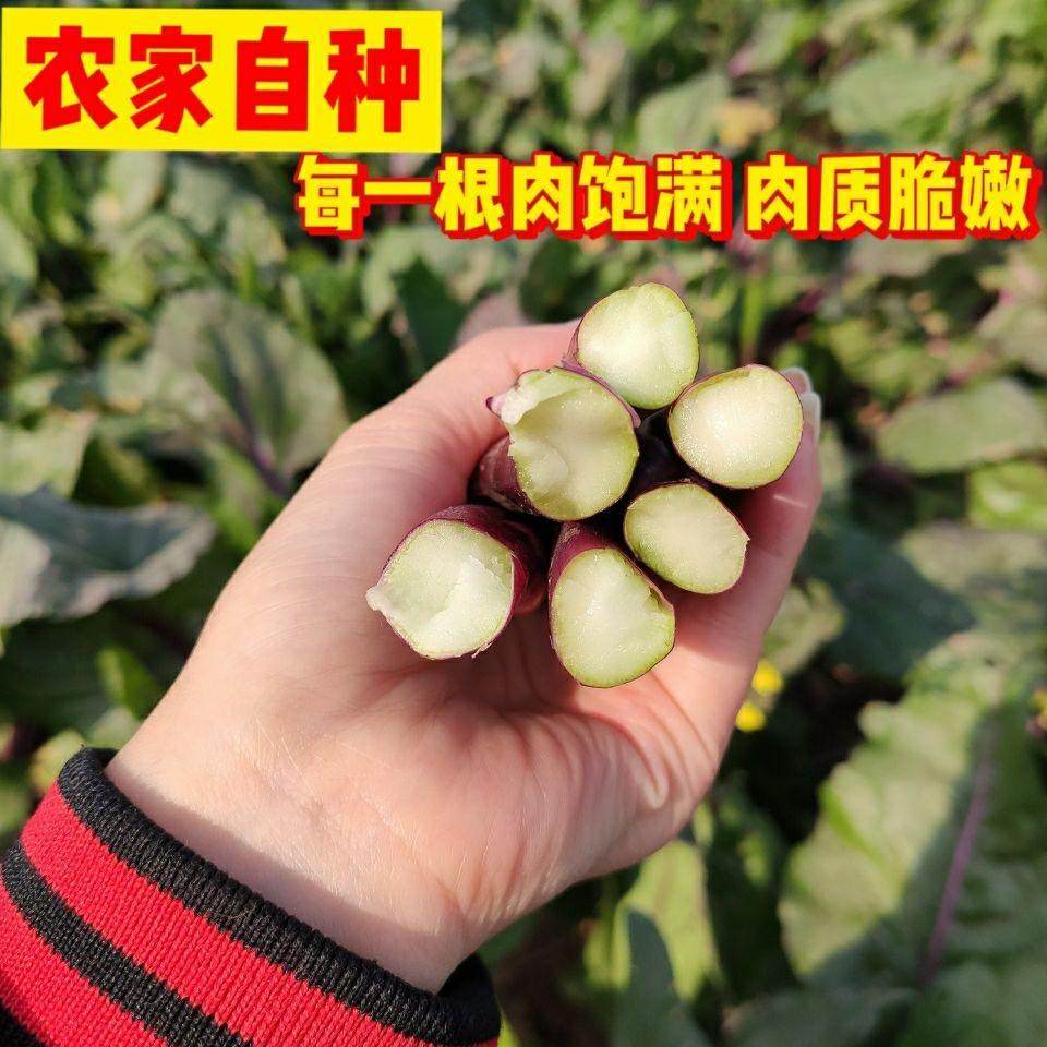 湖北新鲜红菜苔脆嫩可口菜心当季时令蔬菜露天种植纯天然洪山菜苔,淘宝优惠券,粉丝福利购,淘宝优惠卷