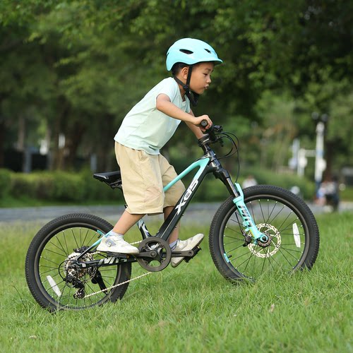 xds喜德盛2025新款镁骑士镁合金山地自行车青少年儿童自行车 - 图2