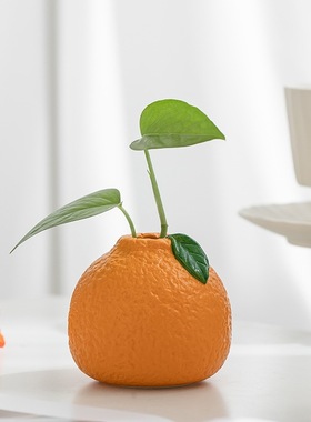 陶瓷小花瓶水培植物绿萝铜钱草鲜花插花器皿客厅桌面装饰创意摆件