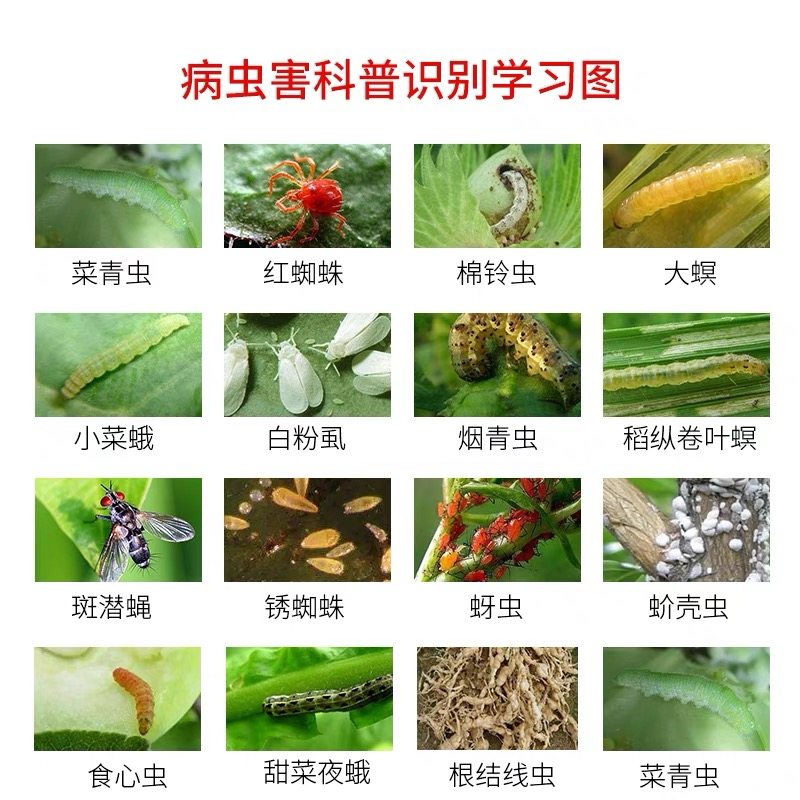 红蜘蛛杀虫剂蔬菜果树植物白粉虱蚜虫腻虫黄甲跳虫农药杀虫剂正品,淘宝优惠券,粉丝福利购,淘宝优惠卷