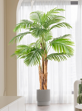 大型仿真绿色植i物室内盆栽葵树假树仿生植物客厅门店橱窗落地装