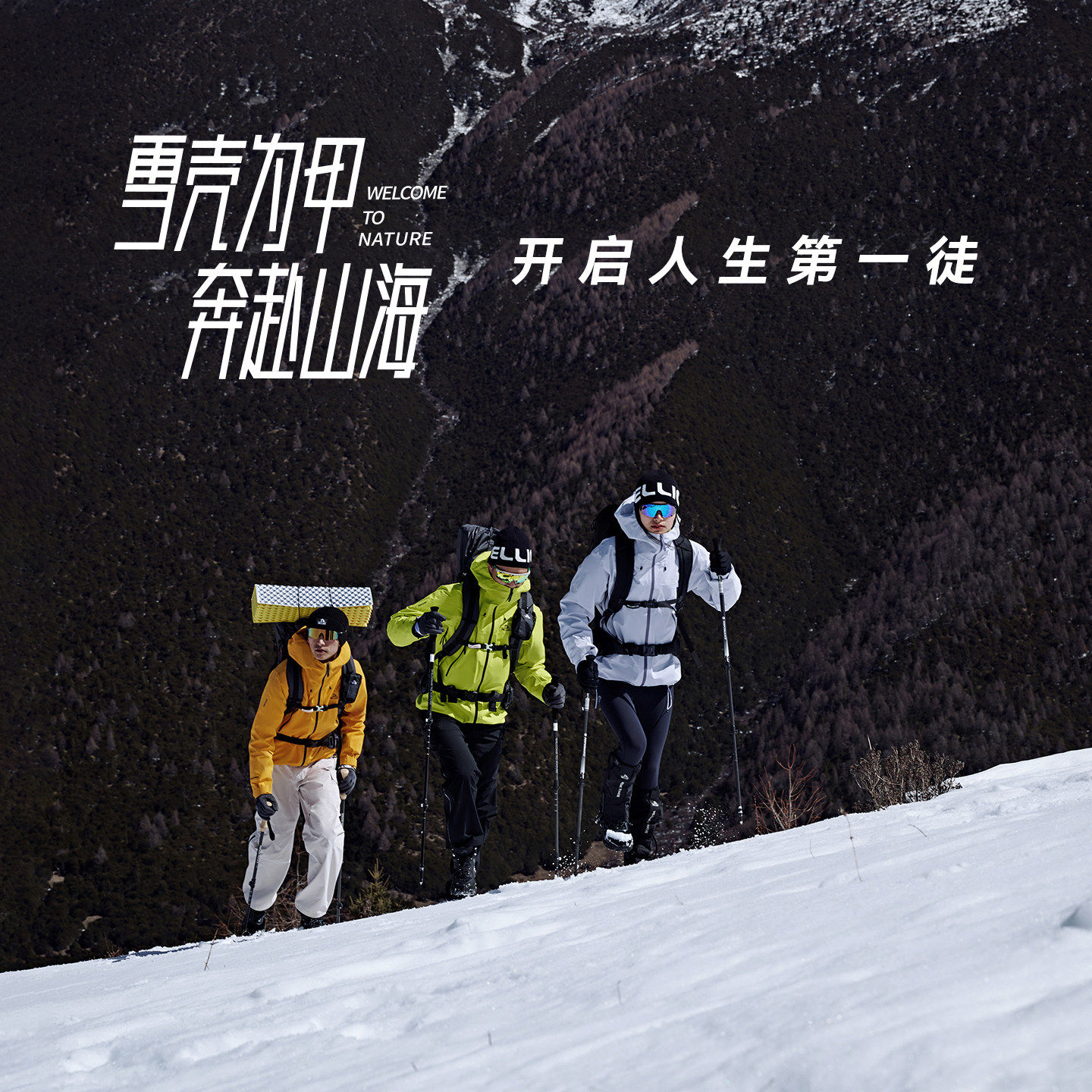 图 5