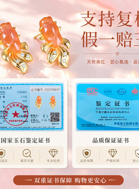 新款高级感天然南红锦鲤耳钉纯银新中式秋冬红色耳饰女设计感小众