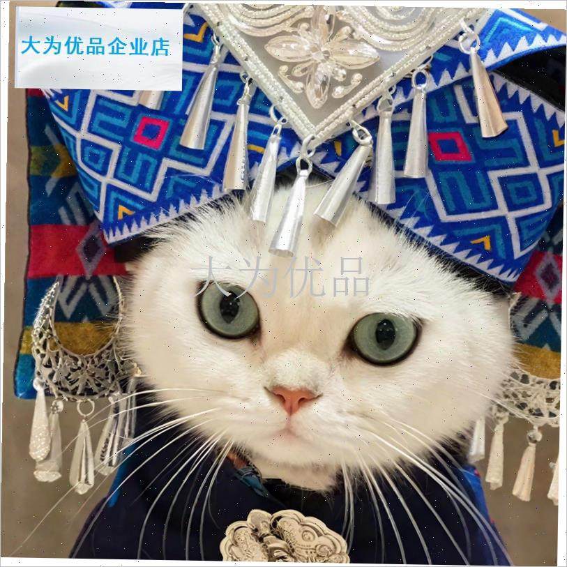 咪帽子壮族d苗族少数民族头饰宠物民族风头套创意变装拍摄道具.,淘宝优惠券,粉丝福利购,淘宝优惠卷