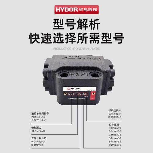 A1Y-Hb10B液控单向阀A1Y-Ha20B A1Y-Ha10B A1Y-Hb20B华岛液压 - 图0