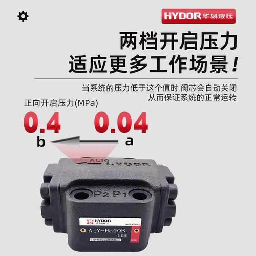 A1Y-Hb10B液控单向阀A1Y-Ha20B A1Y-Ha10B A1Y-Hb20B华岛液压 - 图2