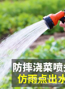 抽水泵浇菜户外农田农用灌溉家用小型12V抽水机充电式便携自