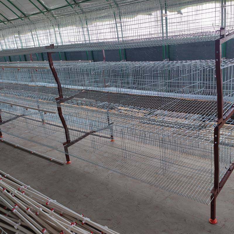 三层H型电镀锌蛋鸡笼使用寿命长自动化养殖设备阶梯式蛋鸡笼,淘宝优惠券,粉丝福利购,淘宝优惠卷