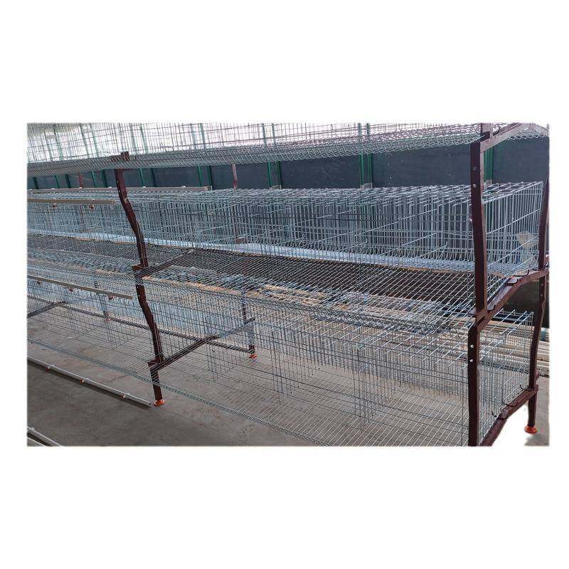 三层H型电镀锌蛋鸡笼使用寿命长自动化养殖设备阶梯式蛋鸡笼,淘宝优惠券,粉丝福利购,淘宝优惠卷