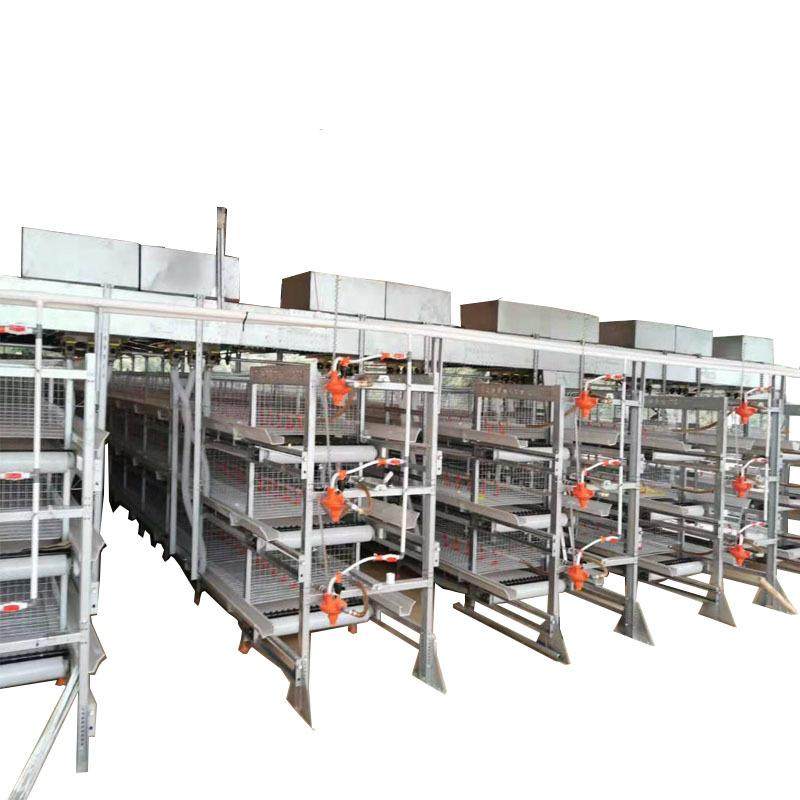 框架肉鸡笼全自动化肉鸡养殖设备热镀锌可外贸,淘宝优惠券,粉丝福利购,淘宝优惠卷