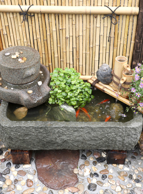 中式庭院水池景h观阳台小院鱼池假山流水喷泉花园布置装饰造景摆