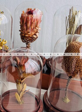 现代样板a间儿童房女孩房植物标本干花艺玻璃罩创意软装饰品摆件