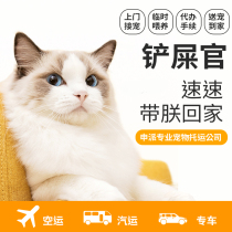 Pet Consignment Service National Charge D Affaires Beijing Shanghai Guangzhou Dog Cat Airlift International Air Transport Special Car