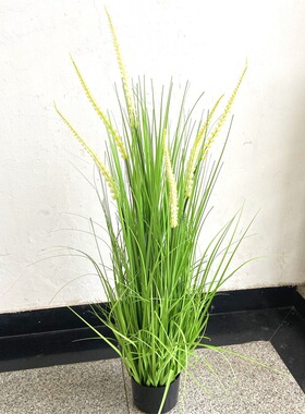 园艺盆栽 水生植物仿真花艺洋葱草大狗尾芦苇大稻谷装饰摆件