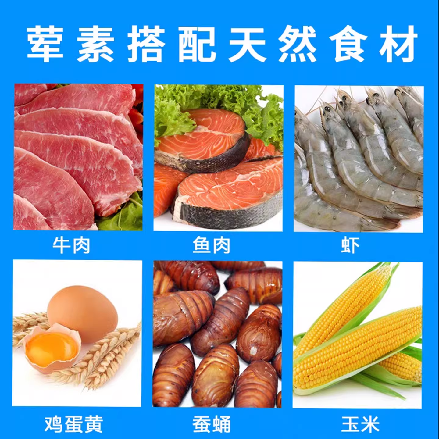 海鸥专用粮喂海鸥的食物面包红嘴鸥鸥饲料粮喂鸟的虫子鸟吃的小米,淘宝优惠券,粉丝福利购,淘宝优惠卷