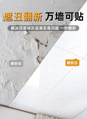 天花板贴纸自粘屋顶吊顶自装饰遮丑墙纸棚顶房顶客厅隔音墙贴壁纸