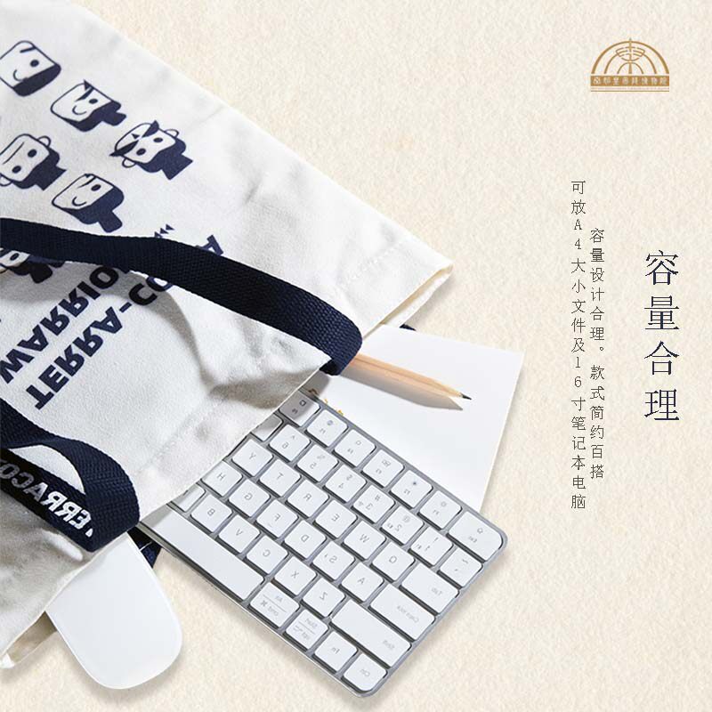 秦始皇兵马俑几何帆布袋包西安兵马俑文创文创帆布袋旅游时尚袋