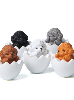 萌泰迪系列白色蛋壳中泰迪犬手办微景观园艺造景公仔创意手办公仔