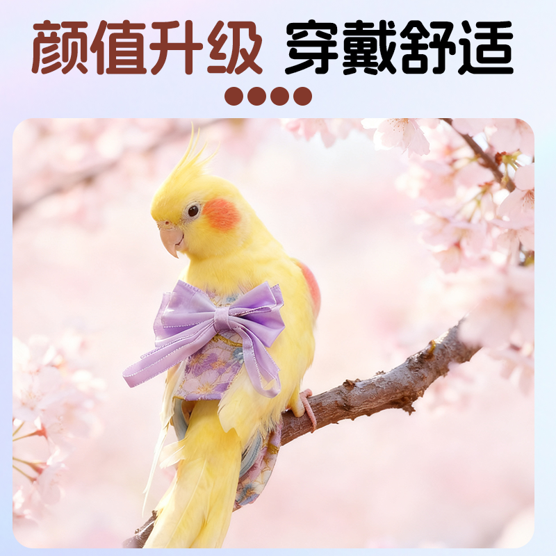 鹦鹉透气纸尿裤烫金汉服款紫色蝴蝶结防乱拉轻松调节宠物鸟用品,淘宝优惠券,粉丝福利购,淘宝优惠卷
