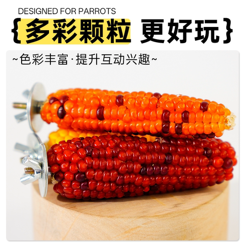 鹦鹉玉米站杆磨牙玩具促消化啃咬类天然谷物安全磨喙小型鹦鹉适用 - 图3