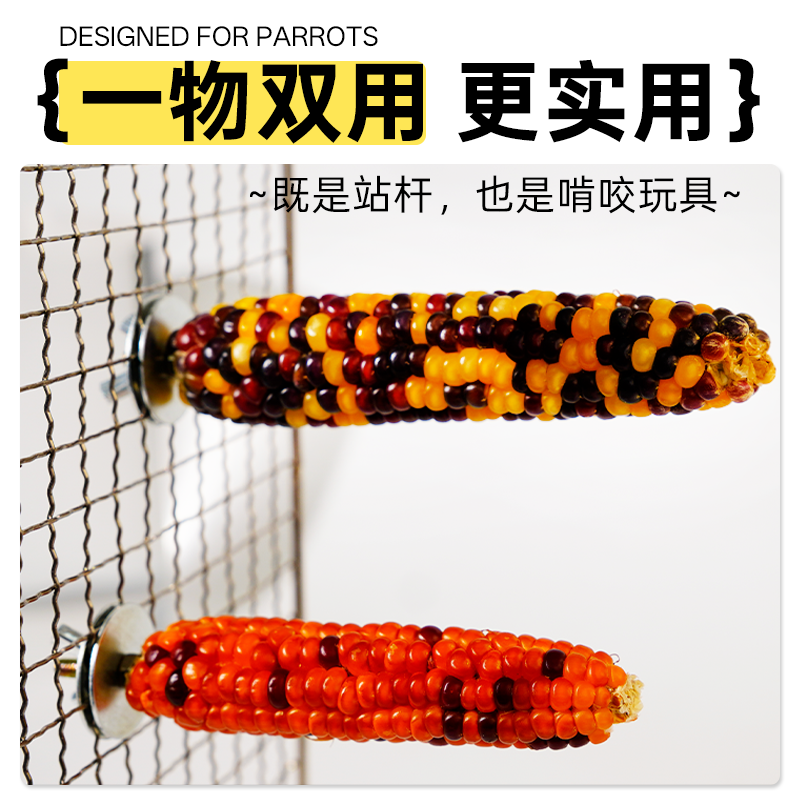 鹦鹉玉米站杆磨牙玩具促消化啃咬类天然谷物安全磨喙小型鹦鹉适用,淘宝优惠券,粉丝福利购,淘宝优惠卷