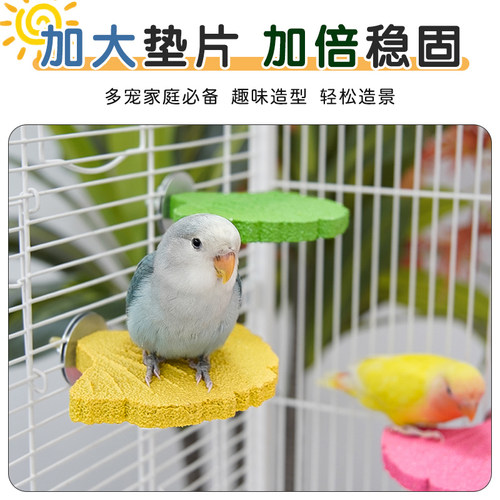 鹦鹉银杏磨爪站杆不掉砂玄凤虎皮磨爪棒磨砂磨嘴站棍站架鸟笼配件 - 图1