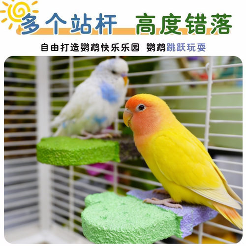 鹦鹉仙人掌磨砂站杆鸟类磨爪磨嘴玩具可水洗矿物质站架鸟笼休息台 - 图3