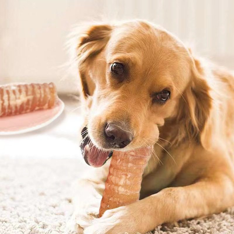 尾爸牛喉管狗零食磨牙棒小中大型犬泰迪金毛洁牙骨头幼犬耐啃咬胶,淘宝优惠券,粉丝福利购,淘宝优惠卷