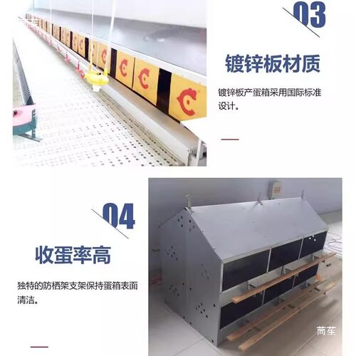 箱散养母鸡人工集蛋箱鸡窝产蛋箱产蛋下蛋防雨母鸡种鸡大容量草垫 - 图2