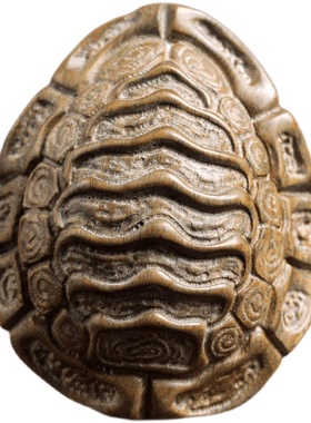 天然绿檀木雕刻富甲天下龟壳摆件文玩手把件家居装饰品创意工艺品