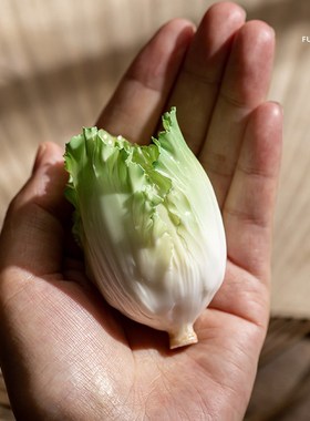 夫己陶瓷手捏白菜摆件办公室客厅茶室新中式桌面招财手工饰品绿植