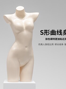 聚拢内衣模特道具展示架女男半身文胸内裤胸模泳衣人体橱窗陈列架
