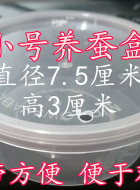 蚕种饲养盒小学生养蚕专用工具 套装 学生2020儿童新鲜彩色蚕卵金