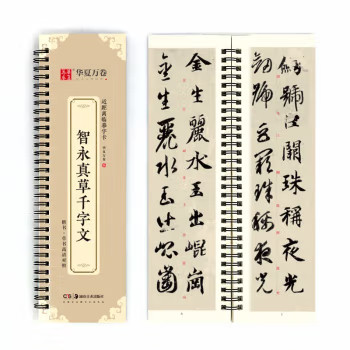 华夏万卷字帖 近距离临摹字卡 智永真草千字文字帖成人初学者草书钢笔硬笔毛笔临摹书法字帖