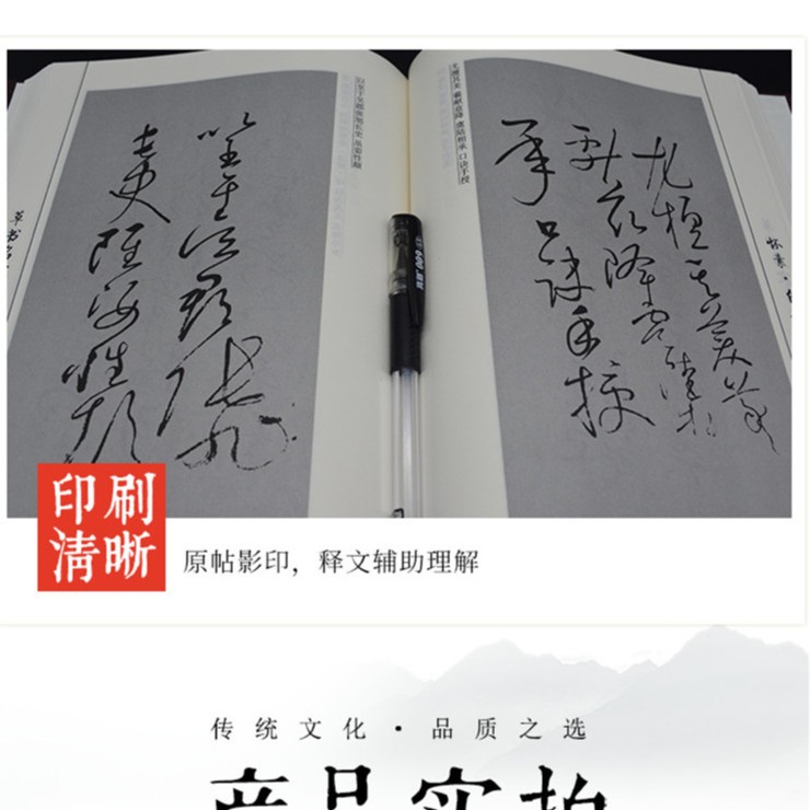 草书名家名帖欣赏 精装正版名家书法字帖名帖书籍  雅量同辉
