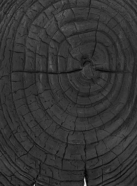 侘寂实木墩子雕塑摆台底座家居z装饰花架碳化原木客厅树桩床边几