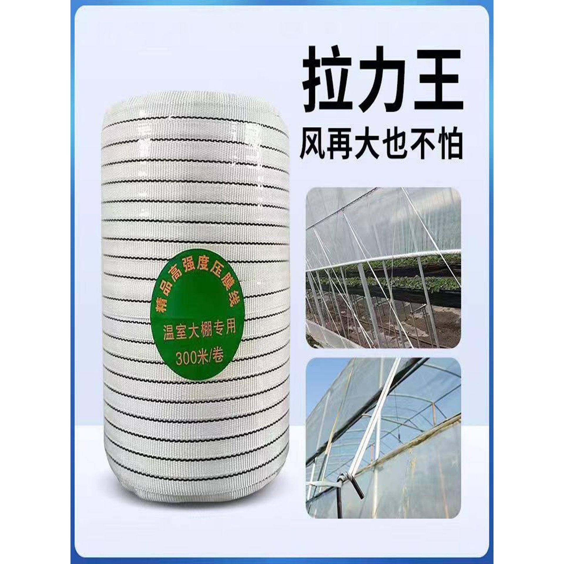大棚压膜带压膜绳压膜线高强度涤纶丝白色抗老化温室配件专用加厚,淘宝优惠券,粉丝福利购,淘宝优惠卷