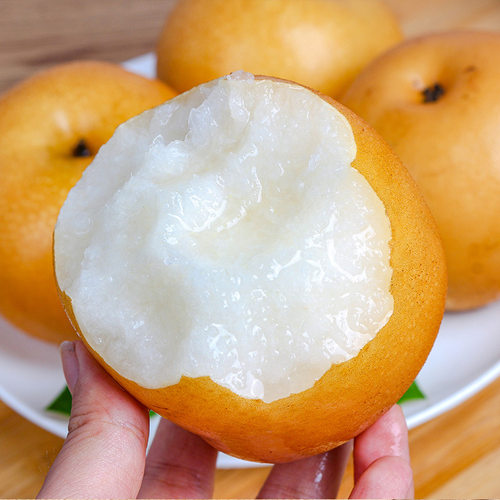 【k姐推荐】山东秋月梨梨子现摘水果蜜梨冰糖雪梨顺丰京东包邮 - 图1